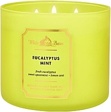 Fragrances, Perfumes, Cosmetics Bath and Body Works Eucalyptus Mint - Scented Candle