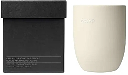 アロマ キャンドル - Aesop Callippus Candle — photo N2