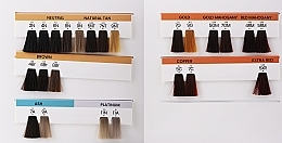 Hair Color Palette - Aloxxi Swatch Book ANDIAMO Express Permanent Colour — photo N2