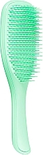 Fragrances, Perfumes, Cosmetics Hair Brush - Tangle Teezer The Wet Detangler Mint Karma Hairbrush