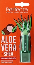 Regenerating Aloe Vera & Shea Butter Lip Balm - Perfecta Aloe Vera + Shea Lip Balm — photo N1