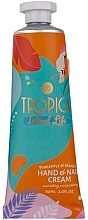 Fragrances, Perfumes, Cosmetics Hand & Nail Cream "Pineapple & Mango", turquoise - Accentra Tropica Pinapple & Mango Hand & Nail Cream