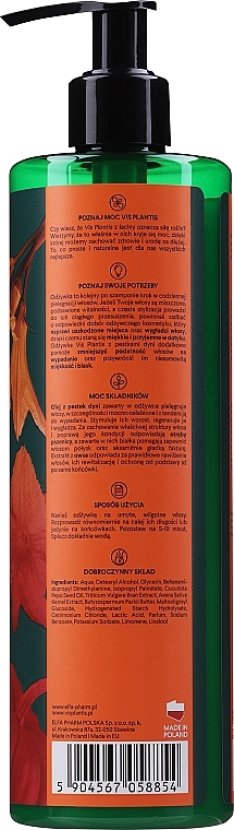 Pumpkin Conditioner for Weakened & Damaged Hair - Vis Plantis Pumpkin Seed Conditioner — photo N2