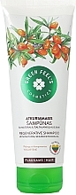 Fragrances, Perfumes, Cosmetics Sea Buckthorn Oil Shampoo - Green Feel's Regerative Shampoo