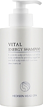 Professional pH Normalizing Shampoo - Dr.Hedison Head Spa Vital Energy Shampoo — photo N1