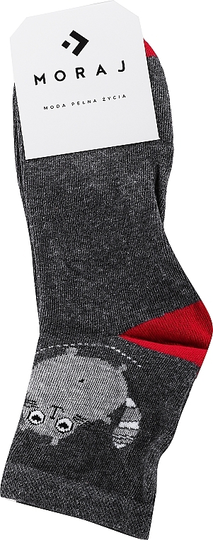 Women Socks csl200-113, grey with cat - Moraj — photo N3