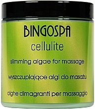 Modelling Massage Body Gel - BingoSpa Fitness Slimming Algae for Massage — photo N1