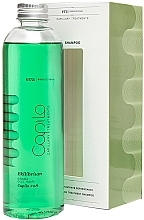 Refreshing Therapeutic Shampoo for Oily Scalp - Eva Professional Capilo Ekilibrium Shampoo №08 — photo N1