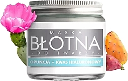 Fragrances, Perfumes, Cosmetics Facial Mud Mask with Spirulina, Prickly Pear Oil & Hyaluronic Acid - E-Fiore (in a glass jar)