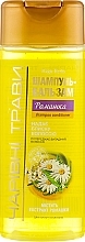 Fragrances, Perfumes, Cosmetics Chamomile Shampoo-Conditioner - Pirana Magic Herbs