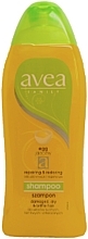 Fragrances, Perfumes, Cosmetics Egg Yolk Shampoo - Avea Family