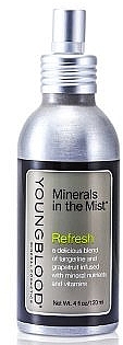 Refreshing Mineral Face Spray - Youngblood Minerals In The Mist Refresh — photo N1