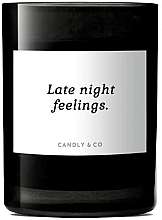 Scented Candle - Candly & Co No.6 Late Night Feelings Scented Candle — photo N2