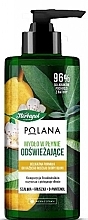 Fragrances, Perfumes, Cosmetics Pear & Sage Liquid Soap - Herbapol Polana