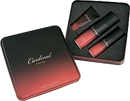 Fragrances, Perfumes, Cosmetics Set - Sts Cosmetics Cardinal Sensetive (f/foam/200ml + deo/150ml + ash/gel/100ml)