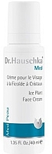 Fragrances, Perfumes, Cosmetics Moisturizing Face Cream - Dr. Hauschka Ice Plant Face Care Cream