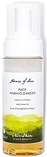 Fragrances, Perfumes, Cosmetics Cleansing Foam - Norrskin House of Lin Natural Cleansing Foam