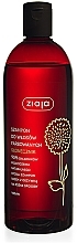 Fragrances, Perfumes, Cosmetics Colored Hair Shampoo "Sun Flower" - Ziaja Shampoo 