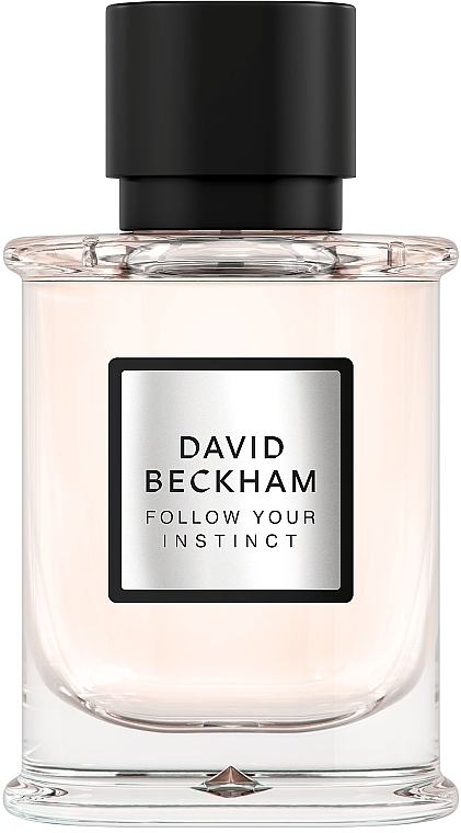 David Beckham Follow Your Instinct - Eau de Parfum — photo N1