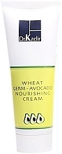 Fragrances, Perfumes, Cosmetics Nourishing Cream "Wheat Germ & Avocado" - Dr. Kadir Creams and Moisturizers Wheat Germ Avocado Nourishing Cream