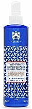 Two-Phase Colored & Damaged Hair Spray Conditioner - Valquer Two-Phase Conditioner For Colour-Treated Hair — photo N1