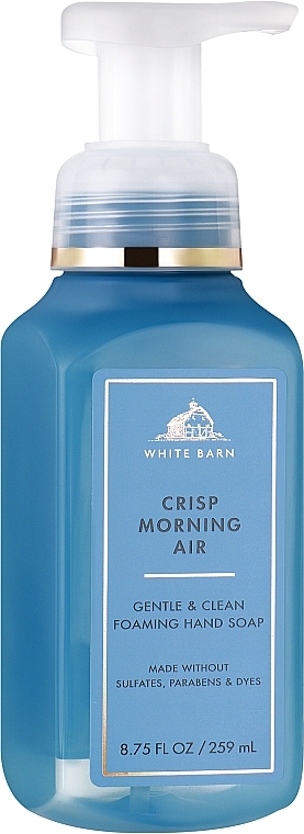 Liquid Hand Soap - Bath and Body Works Crisp Morning Air Gentle Foaming Hand Soap — photo N1