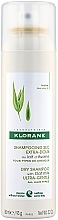 Oat Milk Dry Shampoo - Klorane Avoine Dry Shampoo With Oat Milk — photo N1