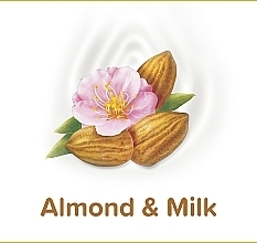 Shower Gel (with dispenser) - Palmolive Almond Milk — photo N6