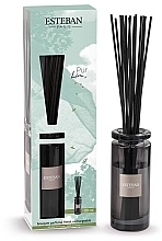 Fragrances, Perfumes, Cosmetics Esteban Reve Blanc Bouquet Parfume Initial - Fragrance Diffuser