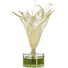 Green Garden Fragrance Diffuser - Bispol Aura — photo N2