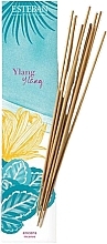 Fragrances, Perfumes, Cosmetics Esteban Ylang Ylang - Bamboo Incense Sticks