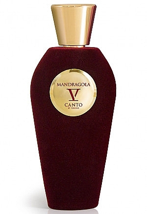 V Canto Mandragola - Eau de Parfum — photo N1