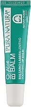 Fragrances, Perfumes, Cosmetics Soothing Lip Balm with Aloe Vera Extract and Sweet Almond Taste - Natura House Soothing Lip Balm