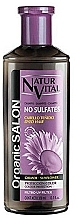 Fragrances, Perfumes, Cosmetics Shampoo for Colour-Treated Hair - Natur Vital Organic Salon Shampoo For Coloured Hair