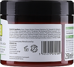 Bamboo & Avocado Hair Mask - Biovax Hair Mask — photo N2