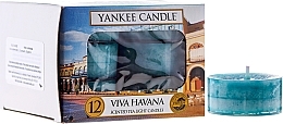 Fragrances, Perfumes, Cosmetics Tea Light Candles - Yankee Candle Scented Tea Light Candles Viva Havana