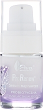 Regenerating Facial Serum - Ava Laboratorium ProRenew Serum — photo N2