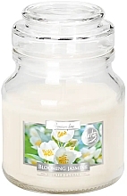 Premium Scented Candle in Jar 'Blooming Jasmine' - Bispol Premium Line Scented Candle Blooming Jasmine — photo N1