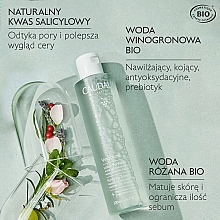 Face Tonic - Caudalie Vinopure Clear Skin Purifying Toner — photo N17