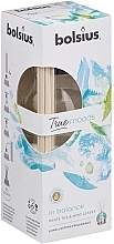 Fragrances, Perfumes, Cosmetics Reed Diffuser "White Tea and Mint Leaves" - Bolsius Fragrance Diffuser True Moods In Balance