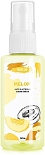 Fragrances, Perfumes, Cosmetics Antibacterial Hand Spray "Melon" - SHAKYLAB Anti-Bacterial Hand Spray