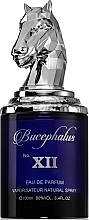 Fragrances, Perfumes, Cosmetics Armaf Niche Bucephalus No. XII - オードパルファム（サンプル）