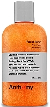 Fragrances, Perfumes, Cosmetics Face Scrub - Anthony Facial Scrub