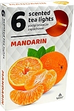 Fragrances, Perfumes, Cosmetics Mandarin Tea Lights, 6 pcs - Admit Scented Tea Light Mandarin