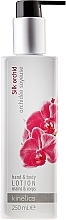 Fragrances, Perfumes, Cosmetics Regenerating Hand and Body Lotion "Silk Orchid" - Kinetics Silk Orchid Lotion