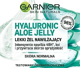 Face Gel - Garnier Skin Naturals Hualuronic Aloe Jelly — photo N16