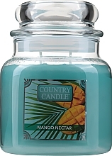 Fragrances, Perfumes, Cosmetics Scented Candle - Country Candle Mango Nectar